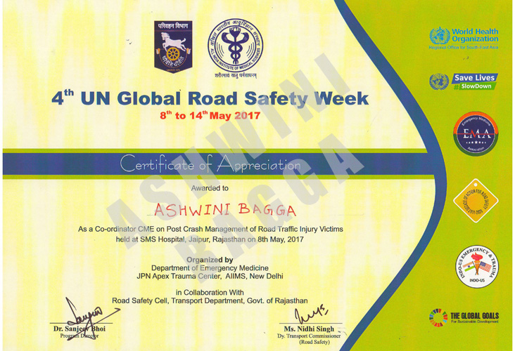 Certificate of Appreciation for Contribution in 4th Global Road Safety Week